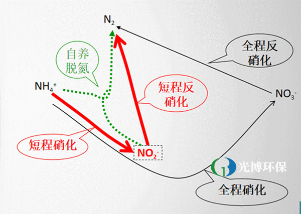 GBDN高效生物脱氮技术介绍